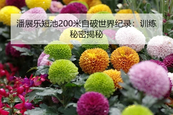 潘展乐短池200米自破世界纪录：训练秘密揭秘