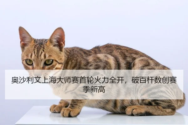 奥沙利文上海大师赛首轮火力全开，破百杆数创赛季新高