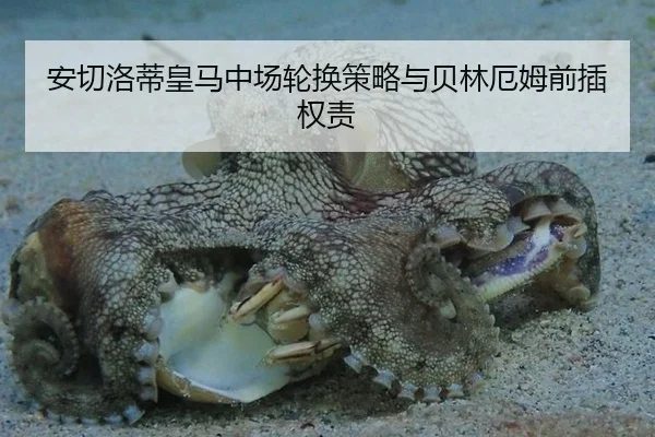 安切洛蒂皇马中场轮换策略与贝林厄姆前插权责