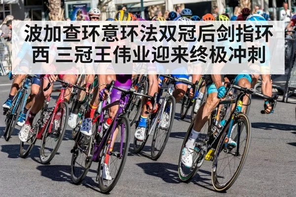 波加查环意环法双冠后剑指环西 三冠王伟业迎来终极冲刺