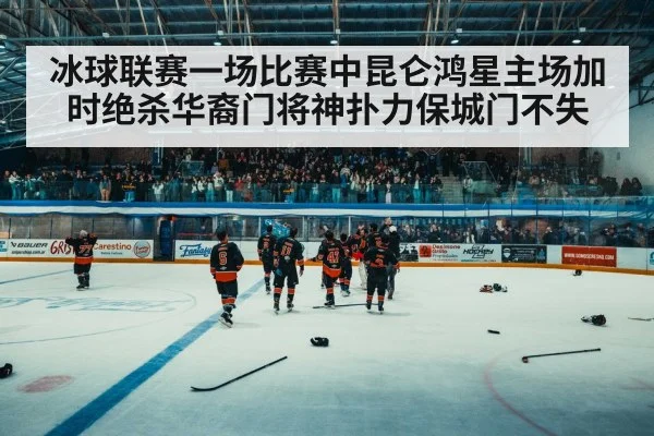 ice hockey arena crowd