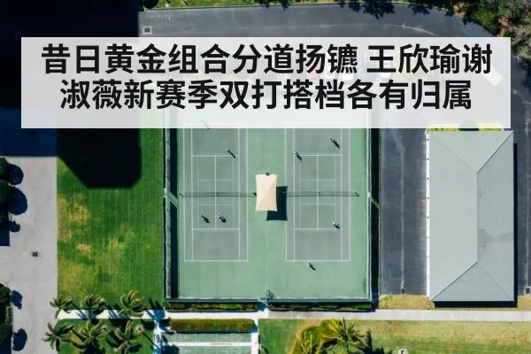 昔日黄金组合分道扬镳 王欣瑜谢淑薇新赛季双打搭档各有归属